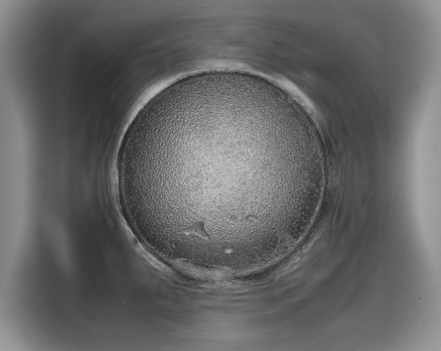 X0000116101287200911301055