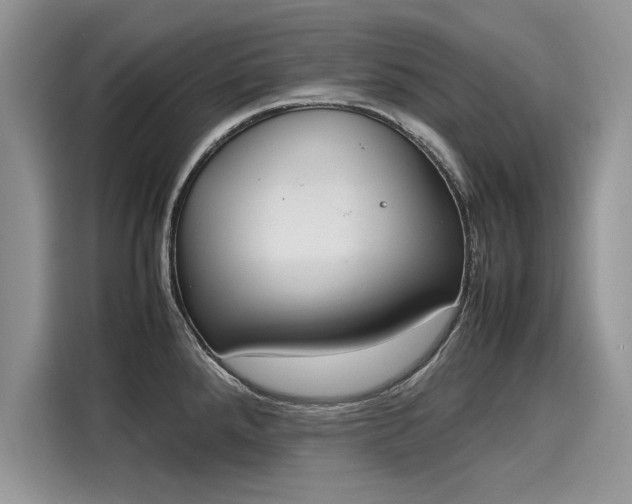 X0000116101288200911301055