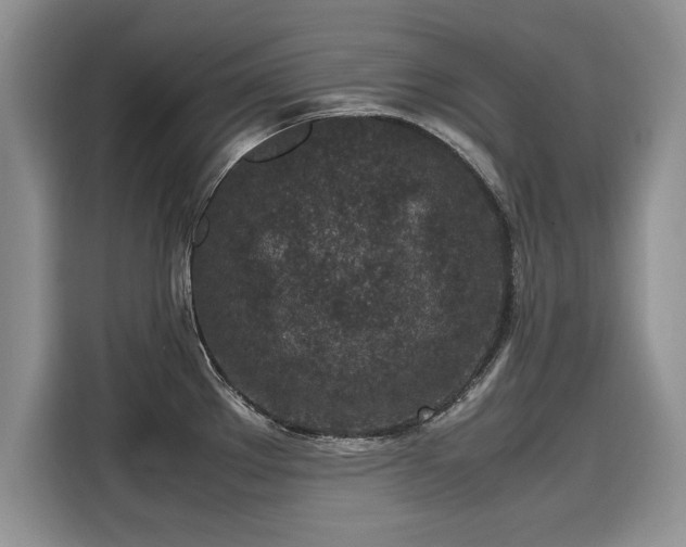 X0000116101289200911301055