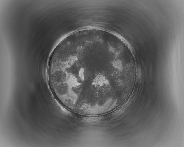 X0000116101294200911301055