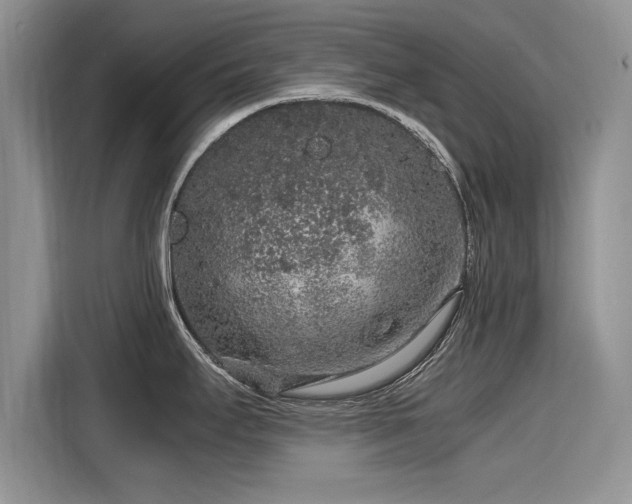 X0000116101295200911301055