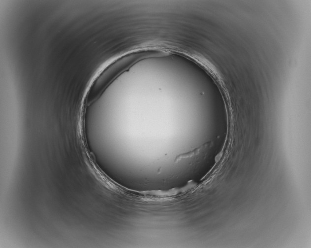 X0000116101296200911301055