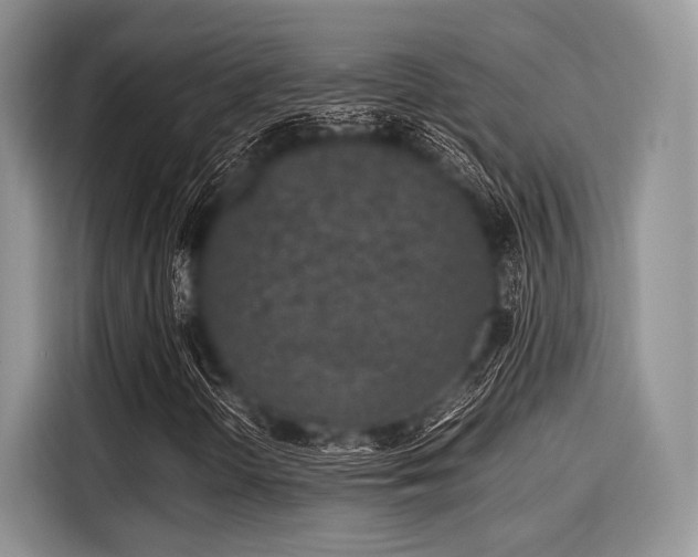 X0000116101298200911301054