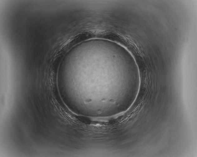 X0000116101301200911301054