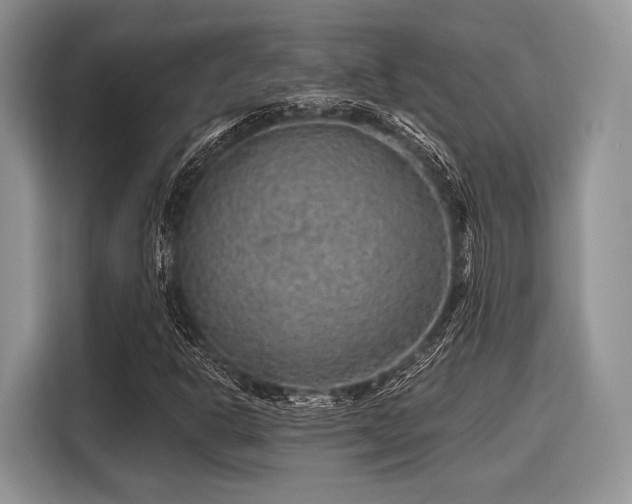 X0000116101302200911301054