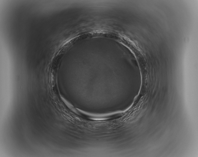 X0000116101303200911301054