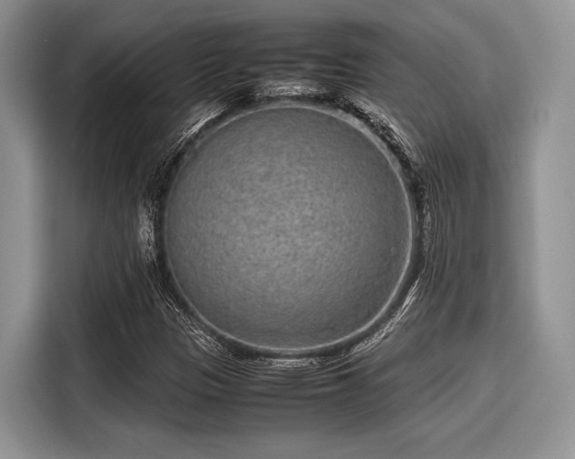 X0000116101305200911301054