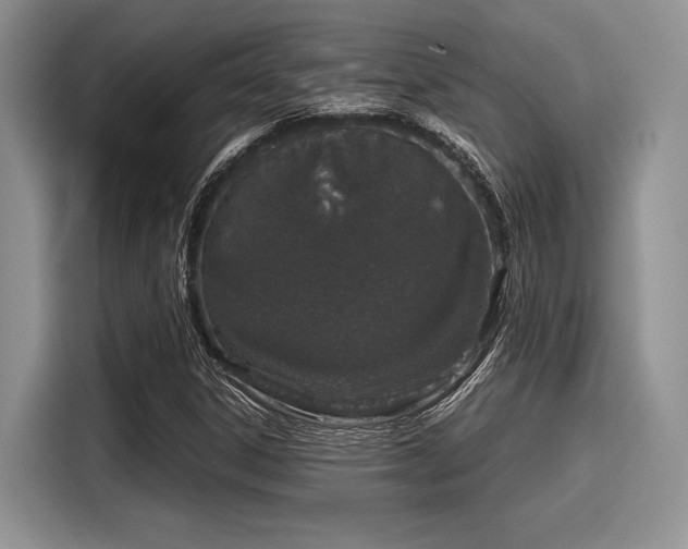 X0000116101306200911301054