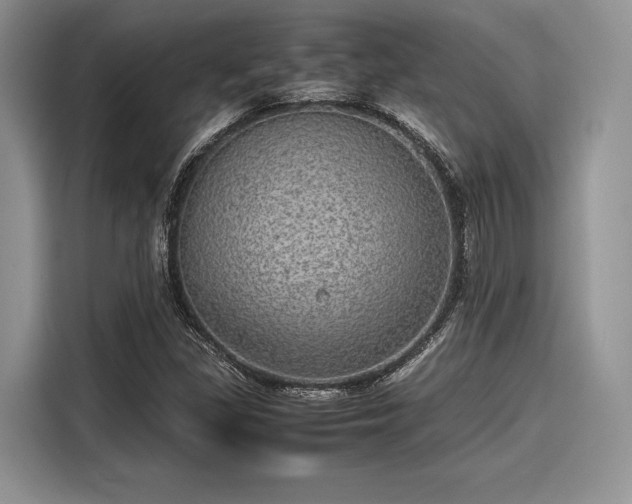 X0000116101309200911301055