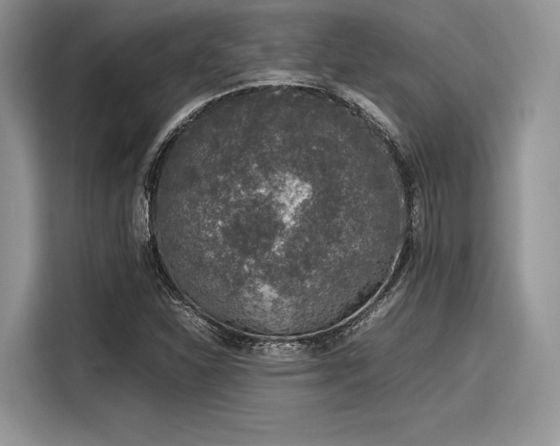 X0000116101310200911301055