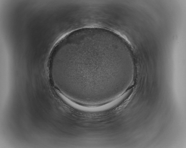 X0000116101311200911301055