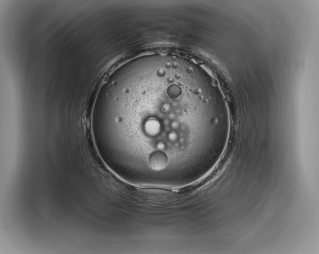 X0000116101313200911301055