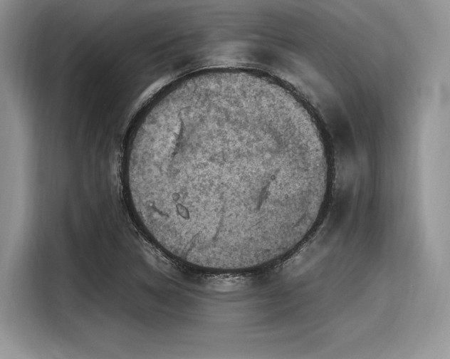 X0000116101314200911301055