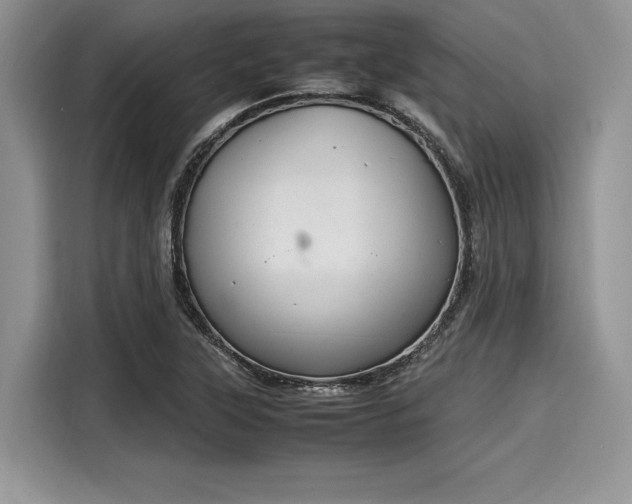 X0000116101315200911301055