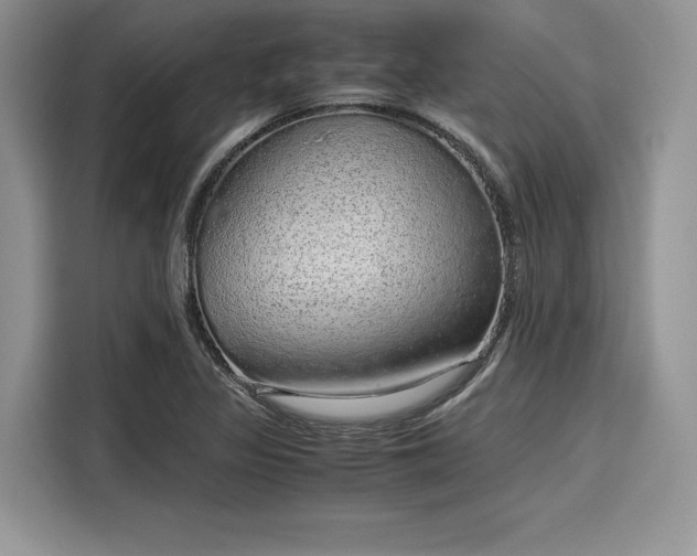 X0000116101317200911301055