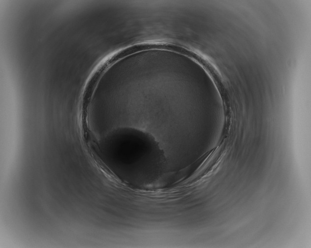 X0000116101319200911301055