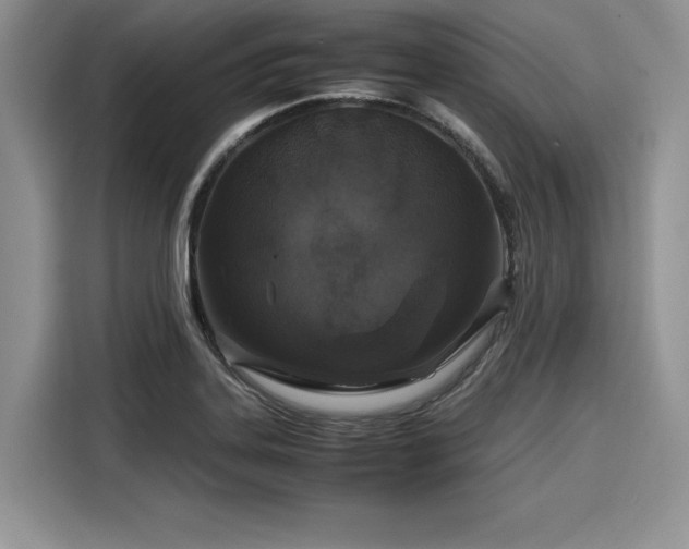 X0000116101323200911301055