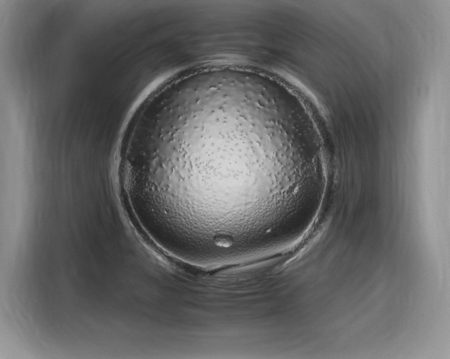 X0000116101325200911301055