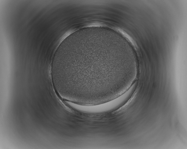 X0000116101329200911301055