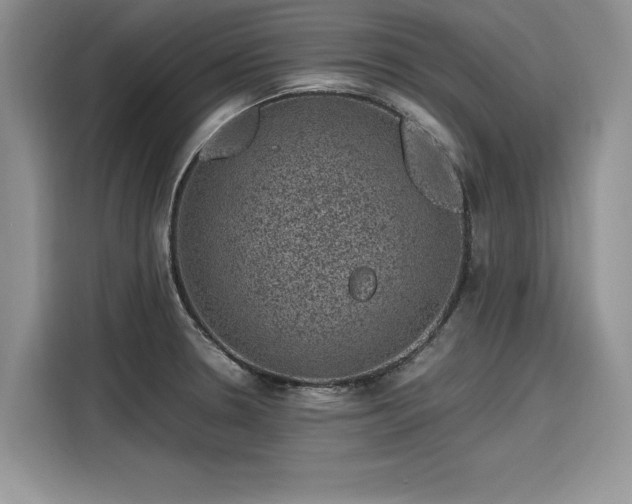 X0000116101330200911301055