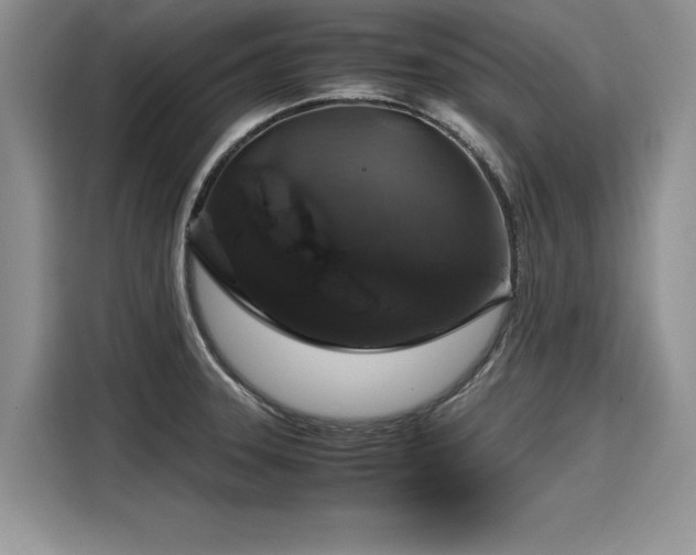 X0000116101331200911301055