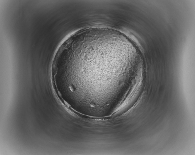 X0000116101333200911301055