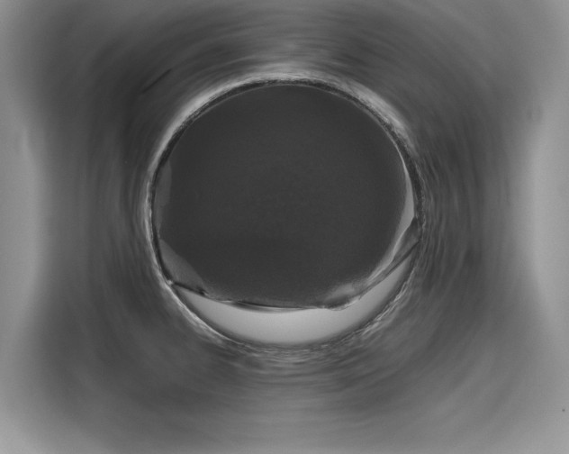 X0000116101334200911301055