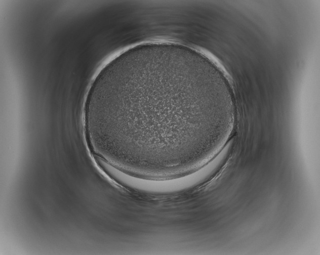 X0000116101335200911301055