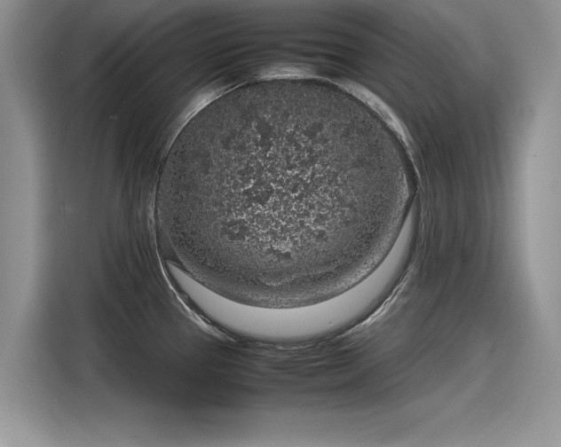 X0000116101337200911301055