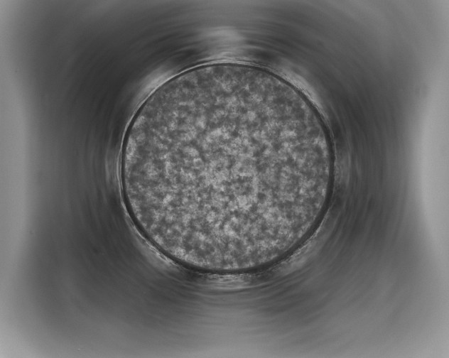 X0000116101338200911301055