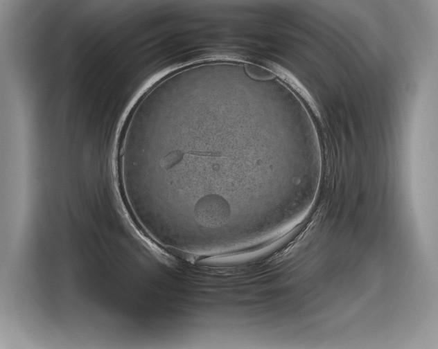 X0000116101339200911301055