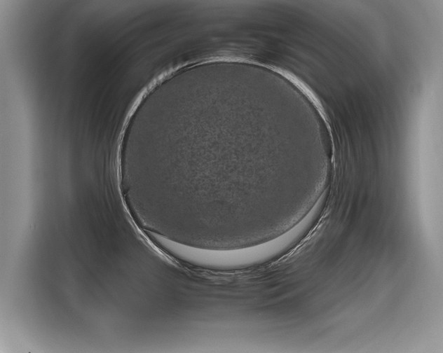 X0000116101341200911301055