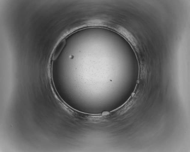 X0000116101342200911301055