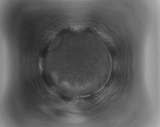 X0000116101346200911301054
