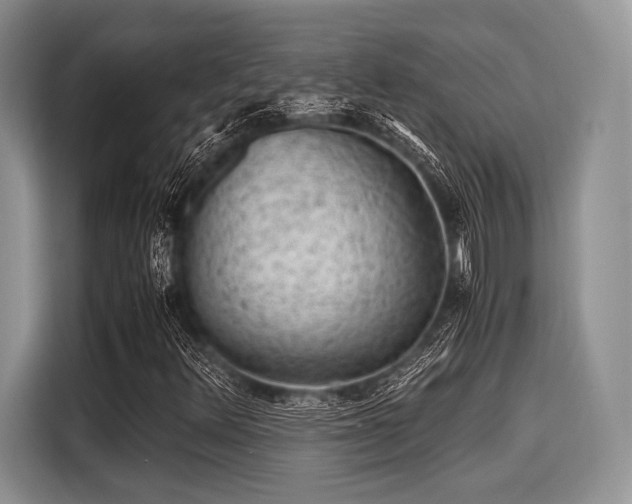 X0000116101348200911301054