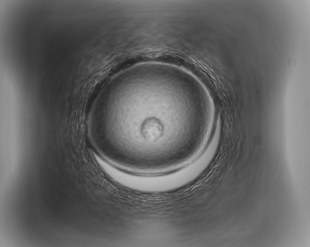 X0000116101349200911301054