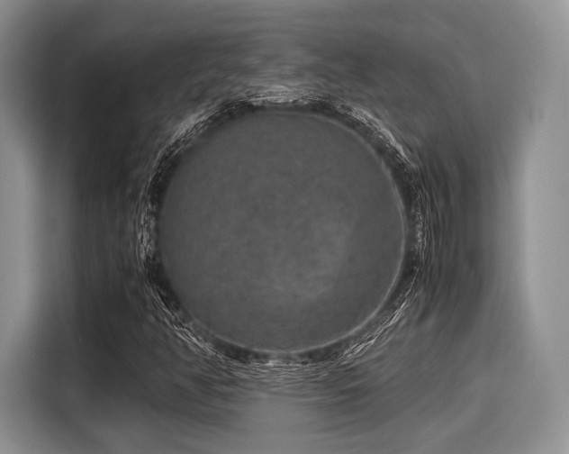 X0000116101350200911301054