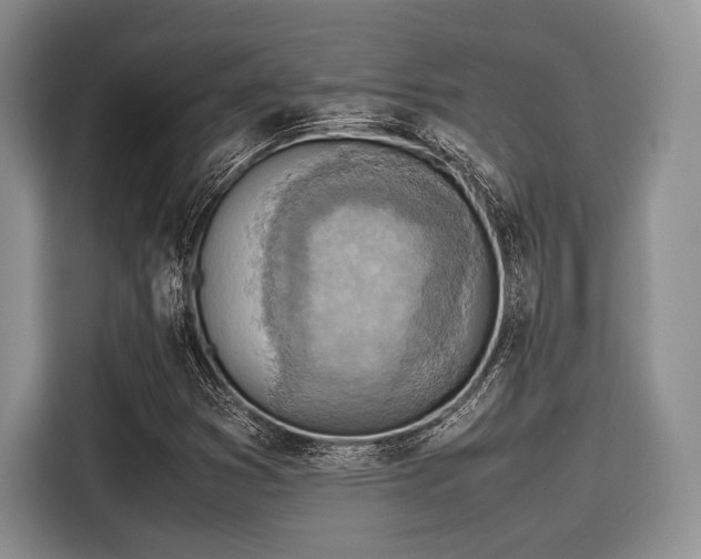 X0000116101353200911301054