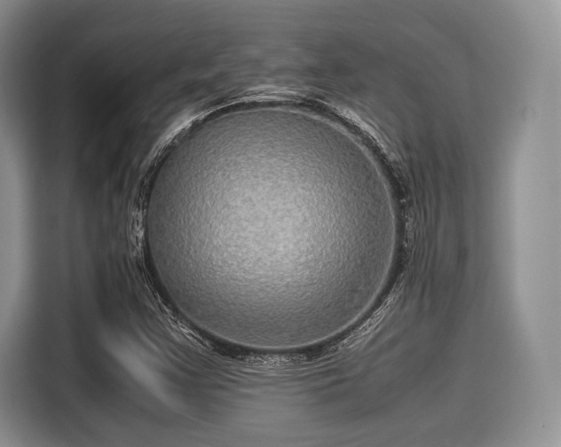 X0000116101355200911301054