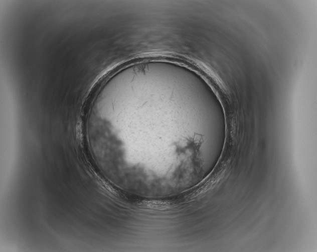 X0000116101356200911301054