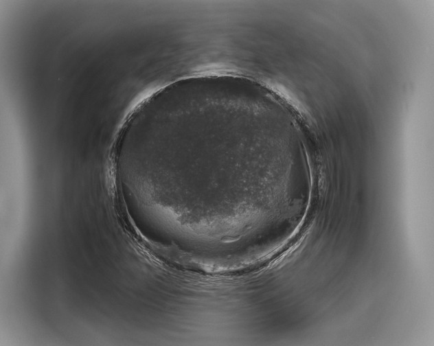 X0000116101358200911301054