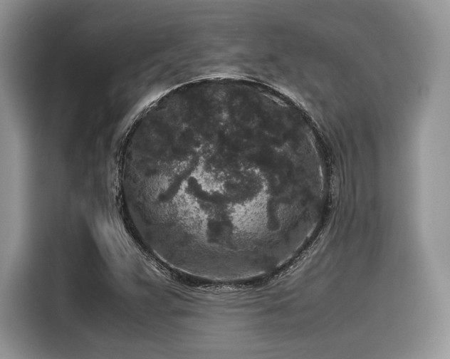 X0000116101359200911301054