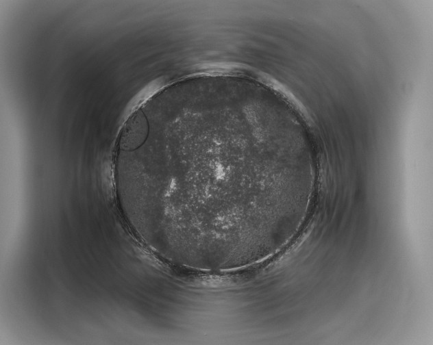 X0000116101362200911301054