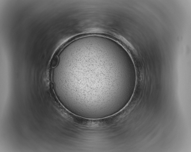 X0000116101364200911301054