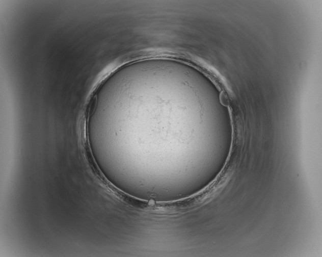 X0000116101365200911301054