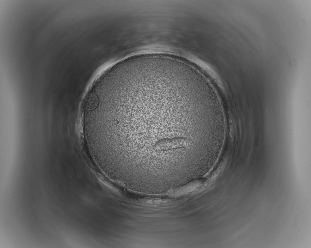 X0000116101366200911301054