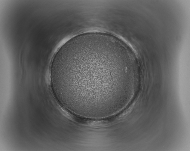 X0000116101367200911301054