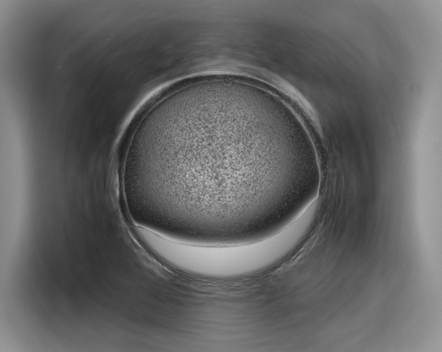 X0000116101368200911301054