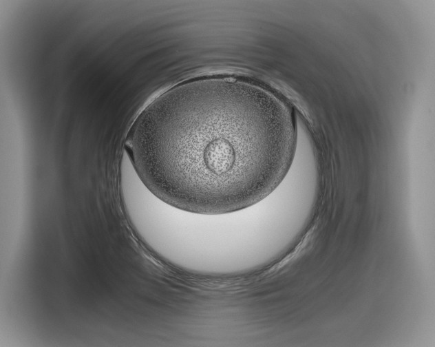 X0000116101369200911301054