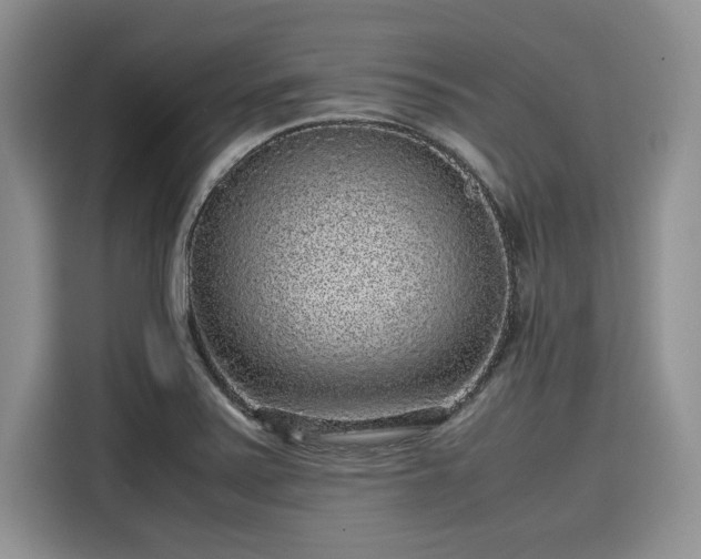X0000116101371200911301054
